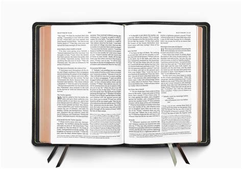 esv goatskin bible|esv heirloom bible goatskin.